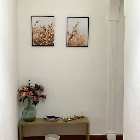 Amplio Guerrilleros Centro Lejlighed *