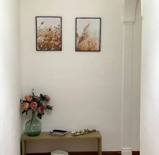 Amplio Guerrilleros Centro Διαμέρισμα *